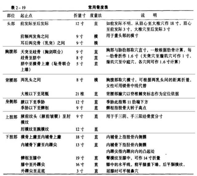 人体同身寸如何确定穴位1寸2寸3寸4寸附骨度寸法