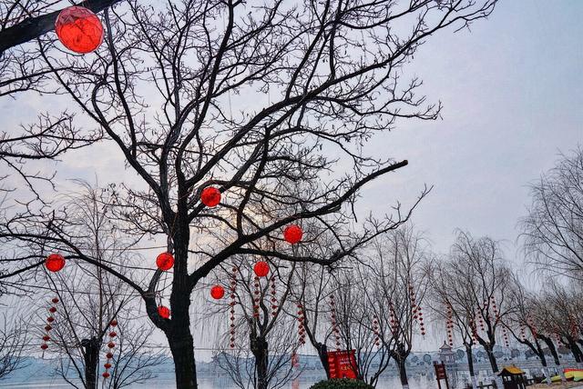 原創
            一湖煙雨江南色，滿庭錦瑟華彩光 旅遊 第23張