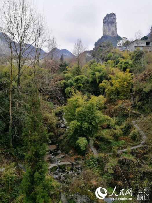 高清组图:纳雍县枪杆岩乡村旅游换新颜