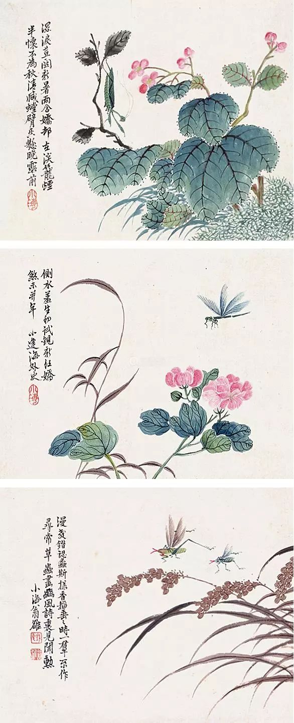 晚清画家翁小海花鸟鱼虫精品鉴赏