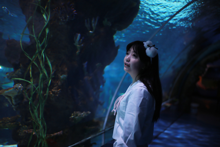 jk制服水族馆写真 绚烂着彩虹的幻影