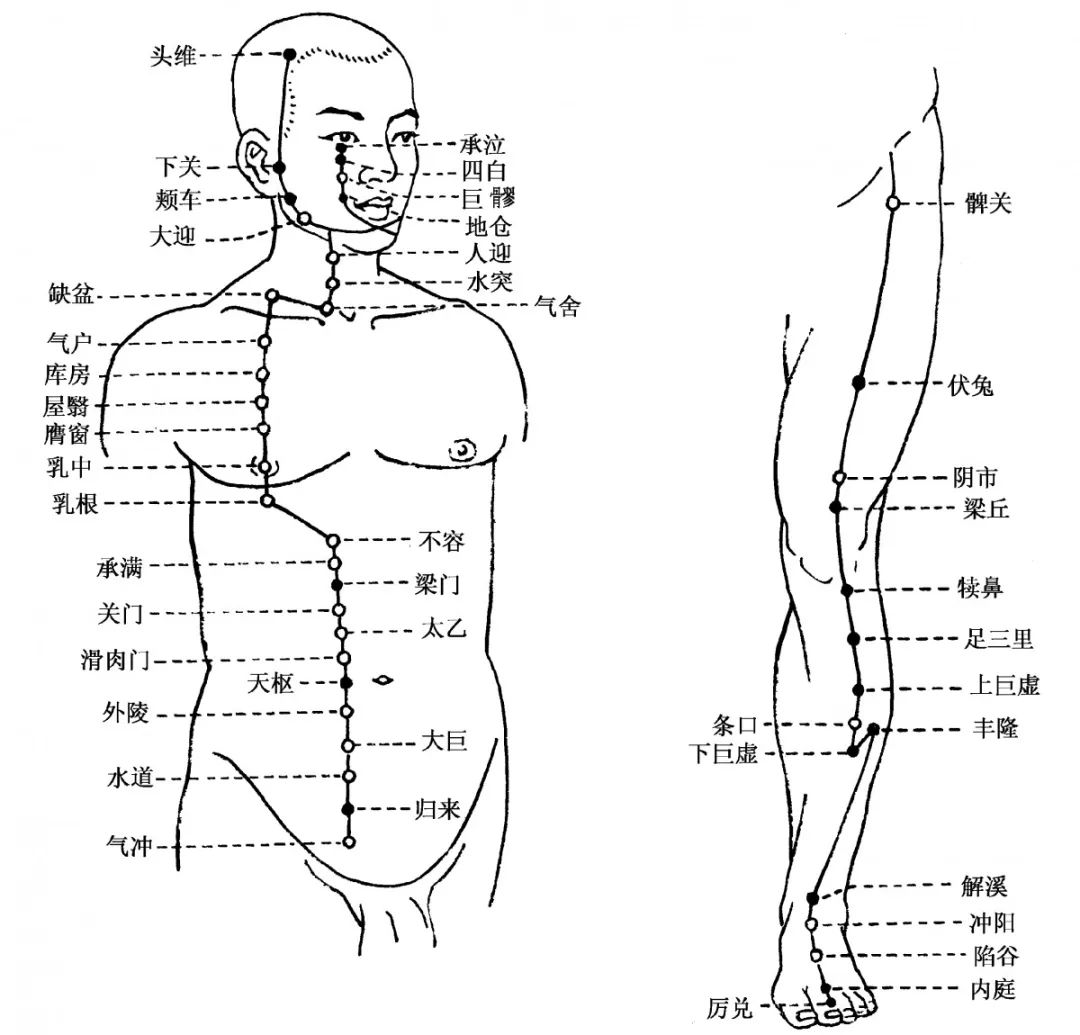 足阳明胃经