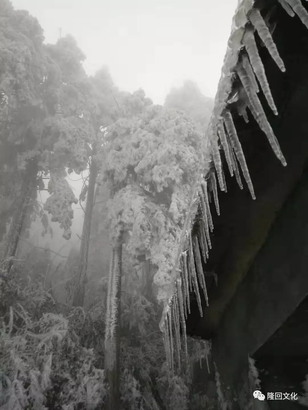 隆回大东山:千里冰封,山顶冰封景象太震撼了,反正不知如何形容她的美.