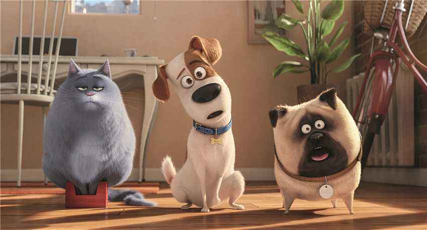 # Mel on Secret Life of Pets: Unraveling the Charismatic Charm of the Adorable Pug