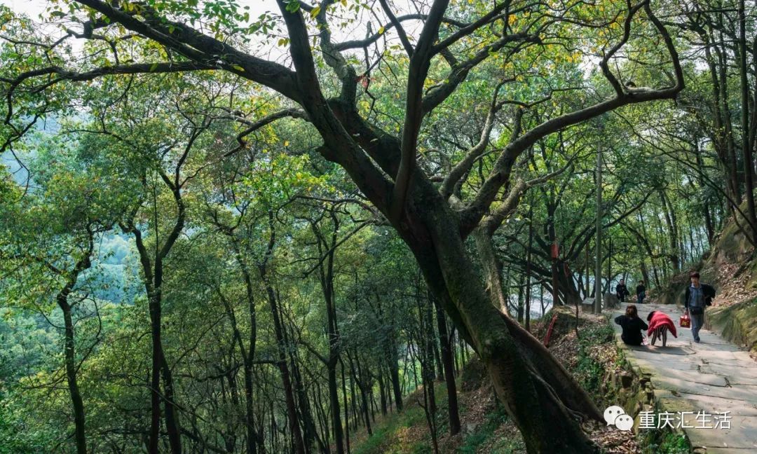 南岸龙脊山步道