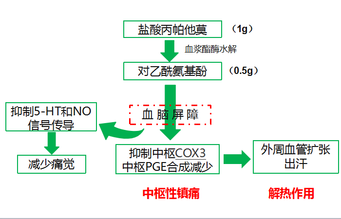 注射用盐酸丙帕他莫的特点与优势