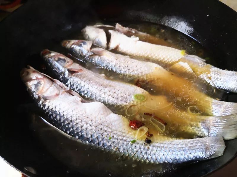 多吃这鱼不但解嘴馋,还可以预防心血管疾病,刺少肉厚老少皆宜!