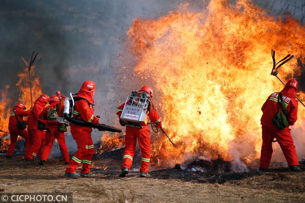 山东省森林火灾空地一体化应急救援演练在泰安举行