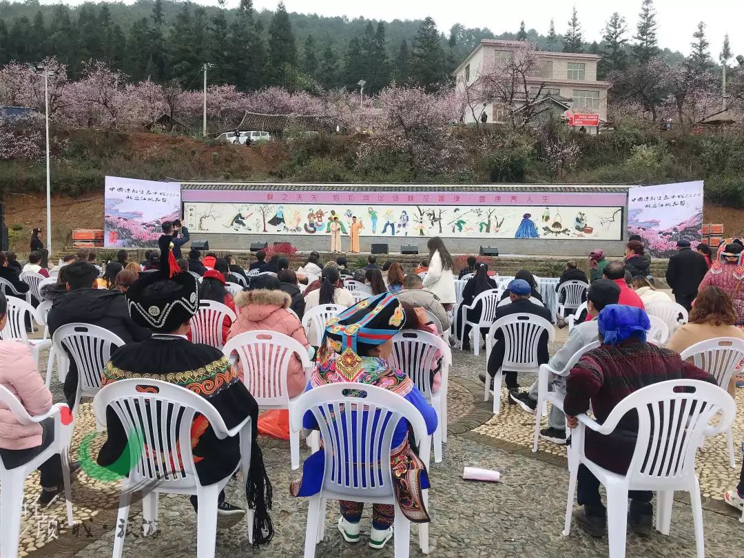 【今日头条】营盘桃花节完美落幕,桃花依旧艳丽等您来!