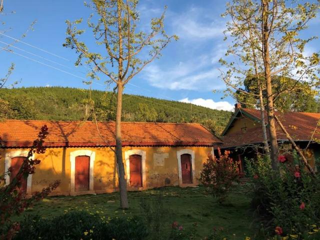 雲南，青山碧水，人間桃源 旅遊 第16張