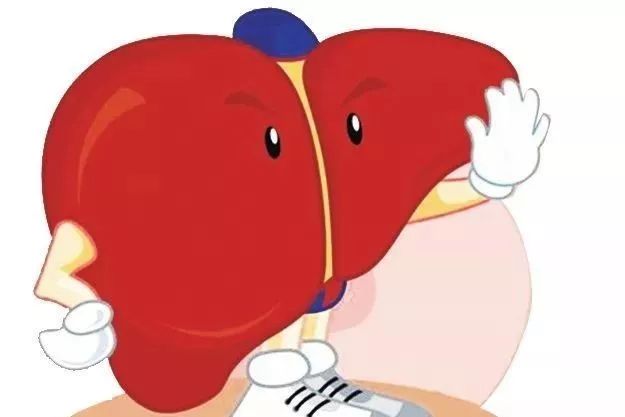 要保护好肝脏首先要明白肝脏最想要的是什么