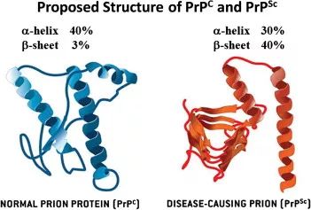 它的学者吃了不少苦头 prp 的发现者斯坦利·普鲁西纳(stanley