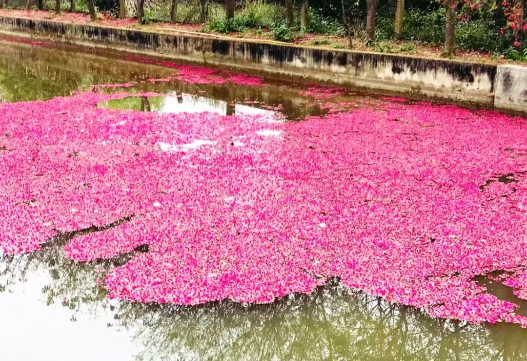 福州又一絕美小眾路線，古村、花海、千年古剎...約起來！ 旅遊 第7張