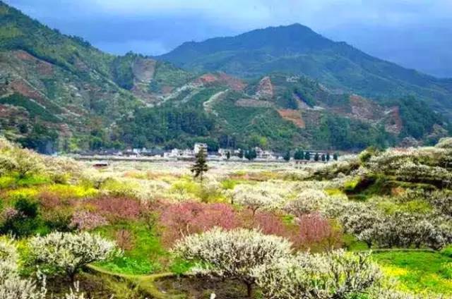 韶关乐昌九峰山赏桃李花海云门寺祈福茶趣园住乳源丽宫国际温泉酒店低