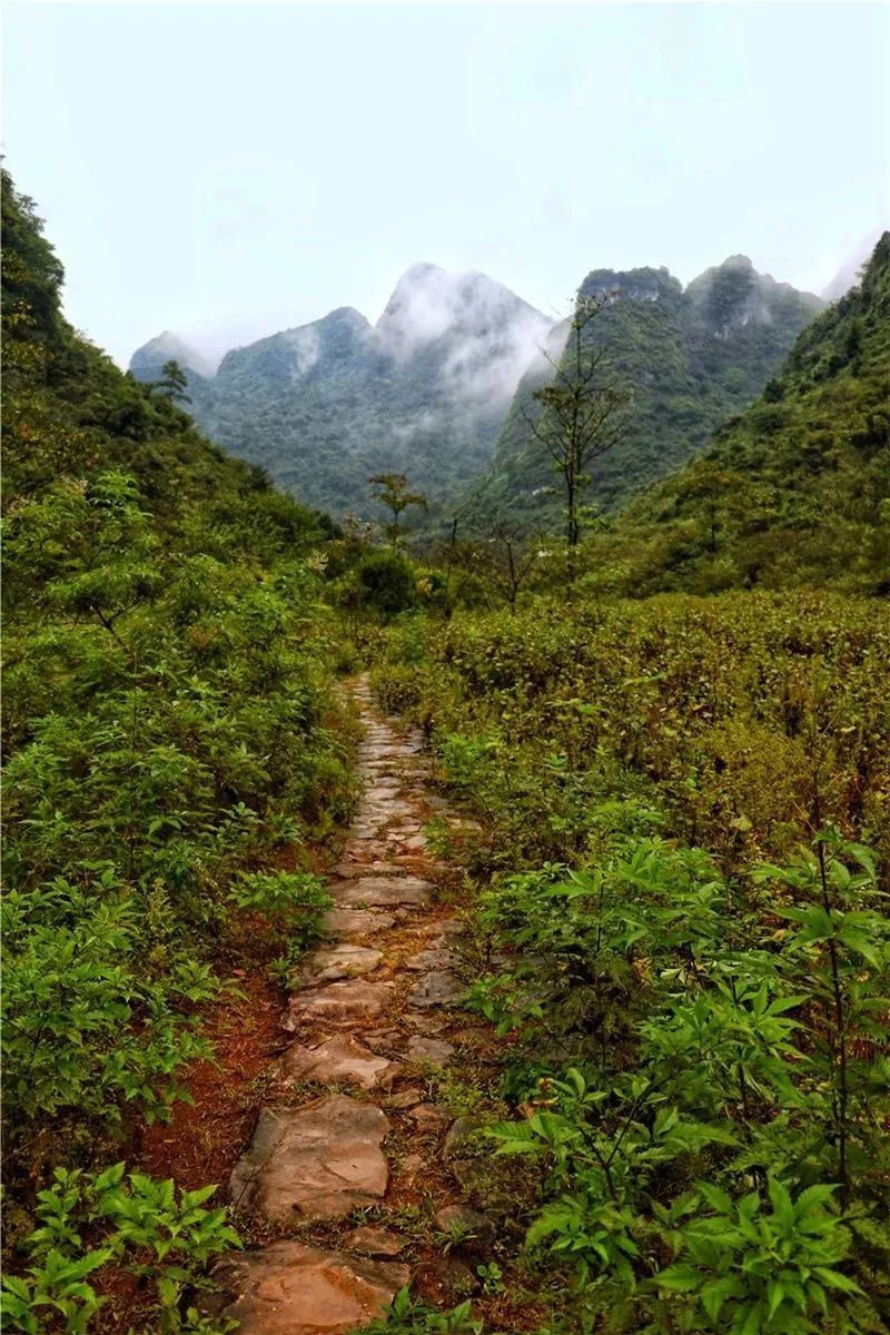 连州古驿道:楚越千年古城,岭南山水画廊