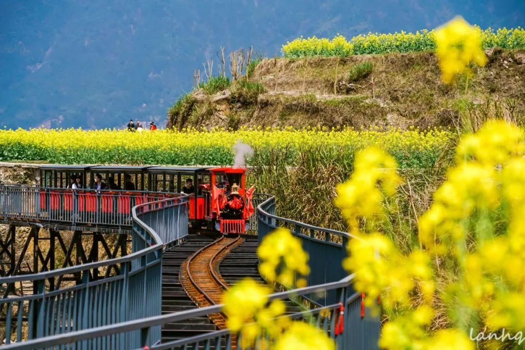 你想找「鄉村愛情」，不妨到青田看看！ 旅遊 第5張