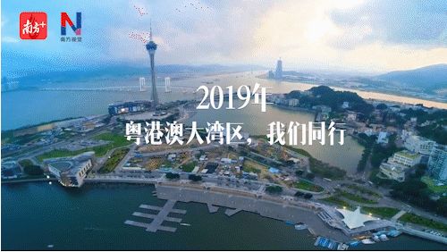 2019粤港澳大湾区人口有多少_粤港澳大湾区图片(3)