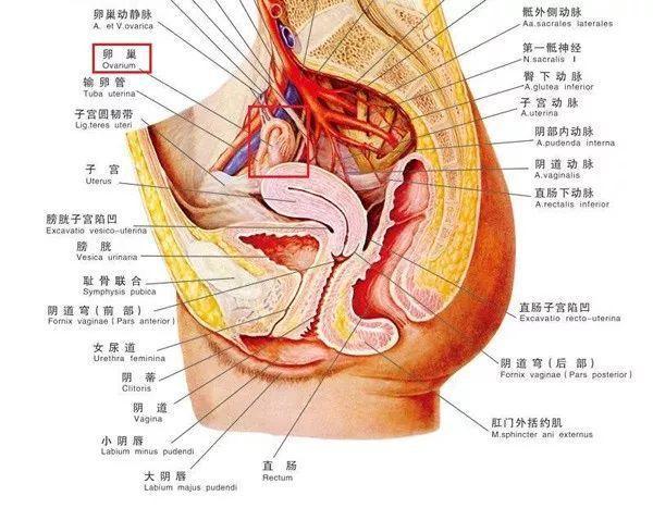 骗钱还致癌?这种美容项目,专坑多少中国女性