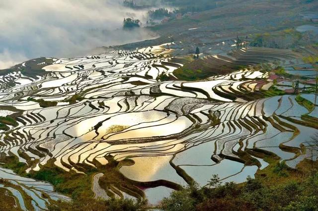 雲南，青山碧水，人間桃源 旅遊 第19張