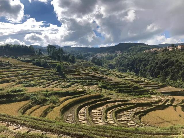 雲南，青山碧水，人間桃源 旅遊 第24張