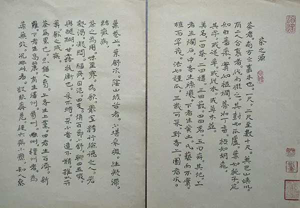 李明成小楷书《茶经选录》册页