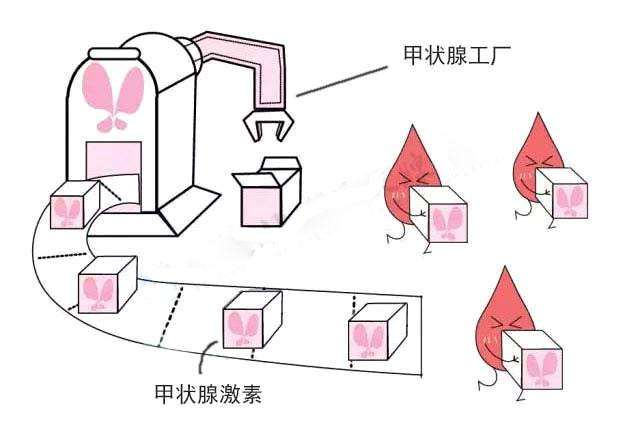 黑头发长出来了怎么办