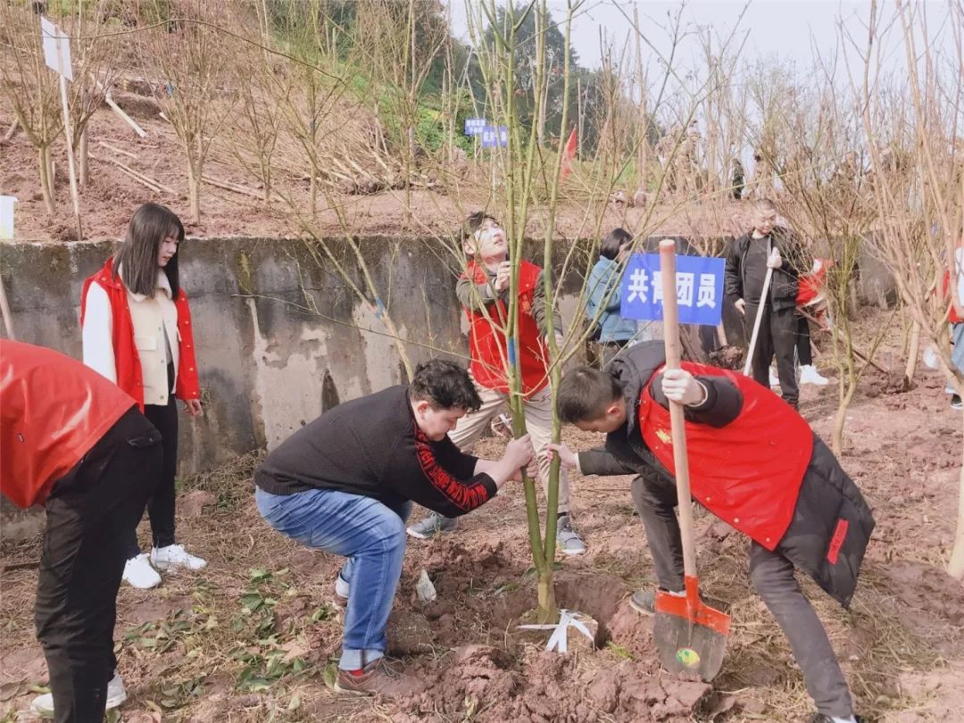 渝中区团员青年开展春季义务植树活动