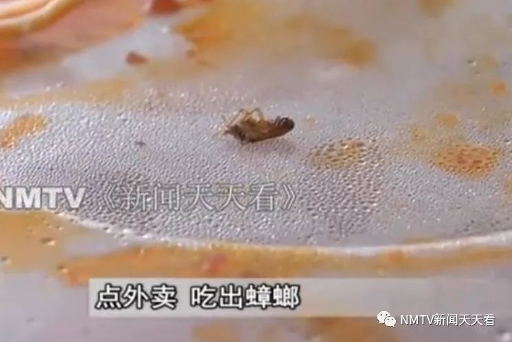 太恶心!呼和浩特一女子竟在外卖中吃出虫子?听听食药监局咋说