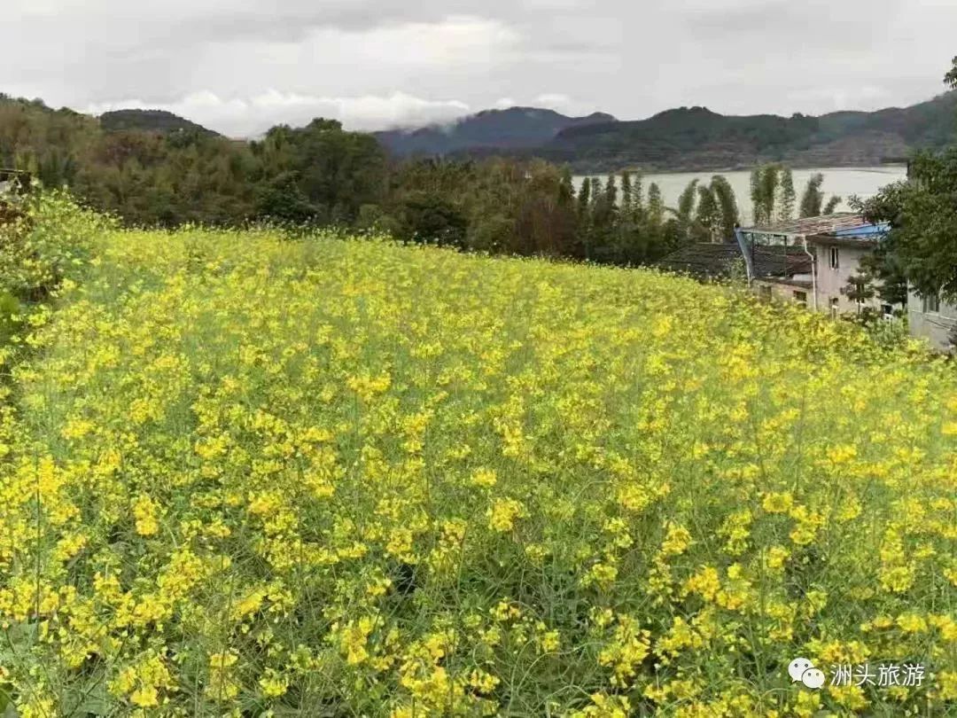 预约电话 :13850995555乘车:1,手机导航南平市延平区斜溪村2,乘中巴车