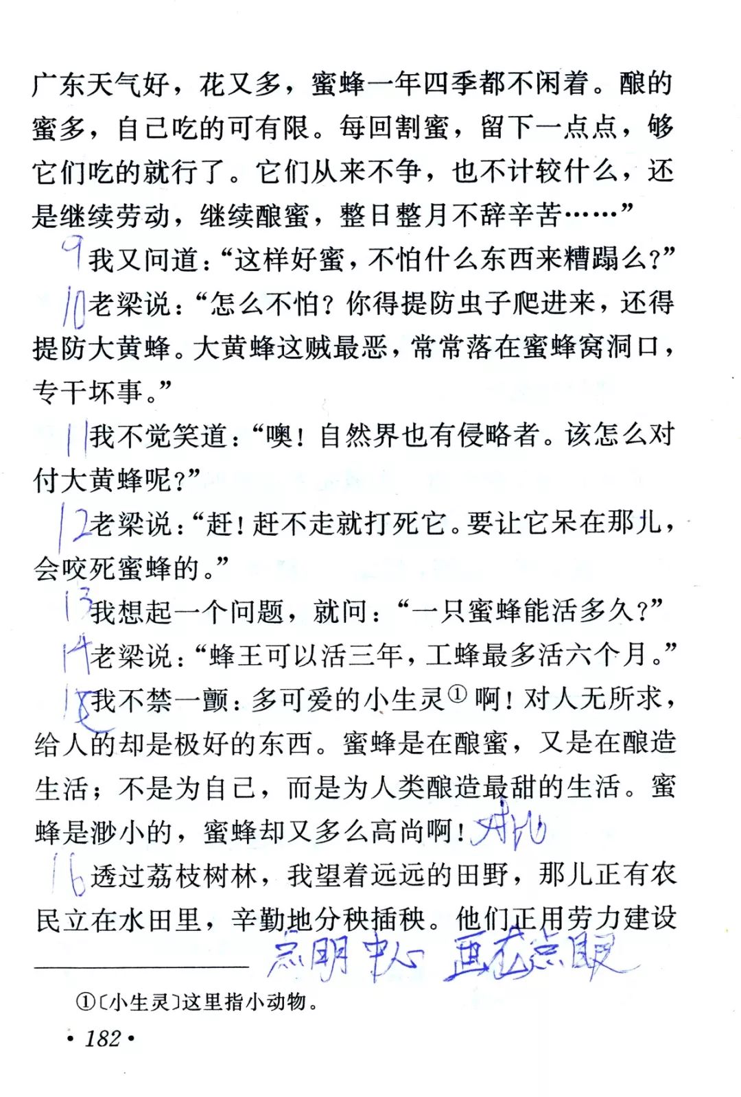 荔枝蜜丨那些年我们一起读过的课文