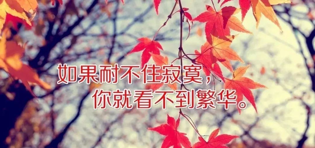 3,自己爱自己,比任何人来爱都靠谱. 4,我的风格很独特,我怕你看不懂.