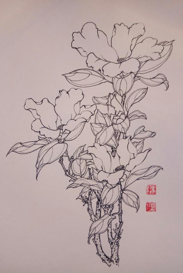 13,叶志军的钢笔画八百九十——山茶花(中性笔白描花卉习作) 20,作品