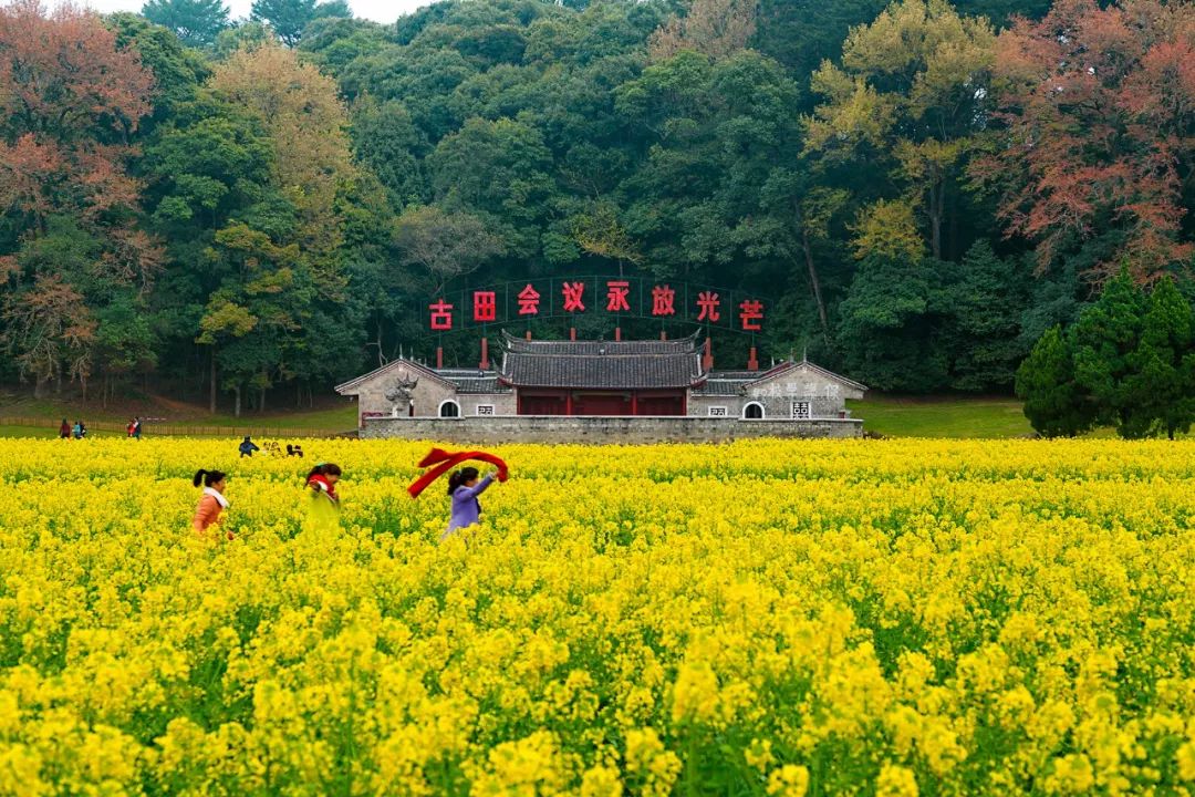 品 征 抖音大赛 关注"龙岩市古田旅游区"官方抖音号,以油菜花元素