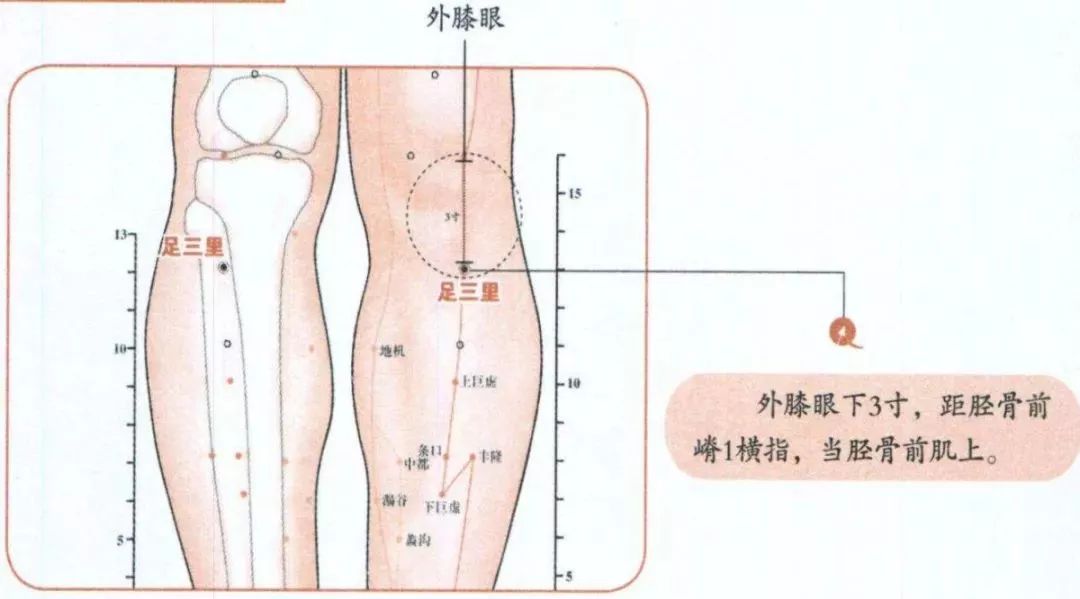 2,阴陵泉