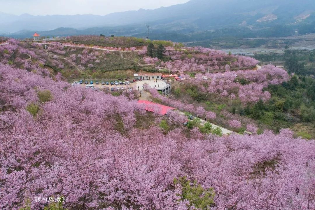 三明市人口最大的村_三明市小焦村