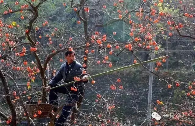 栾川特色小吃终极盘点,你吃过几样?