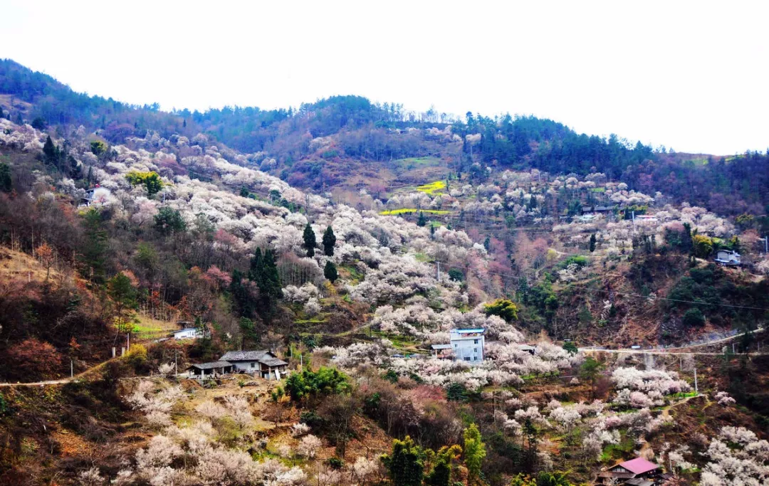 赣县梅林村有多少人口_赣县白鹭古村图片(3)