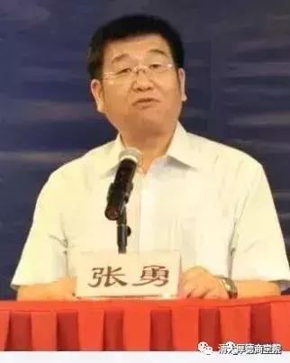 市人民政府法律顾问南开大学国际法法学研究所所长岳庆平北京大学教授