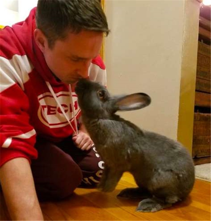 原創
            兩只巨兔對新生兒「一見鍾情」，變身「保姆」用愛守護 未分類 第3張