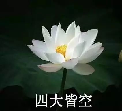 沙雕莲花系列来源:蚊子动漫喜欢的长按保存吧佛系表情包今天整理了