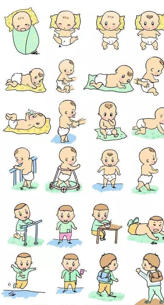 带您了解婴儿精细运动发育顺序