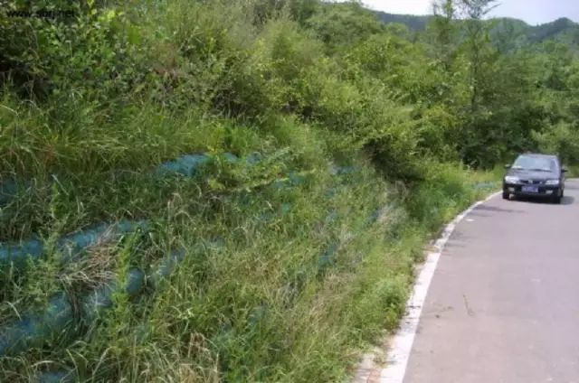 边坡修复有山地道路矿山滨水景观