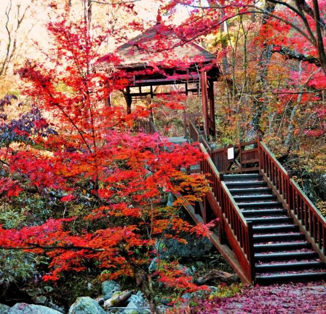 除了蘇東坡，黃岡還有什麼？ 旅遊 第17張