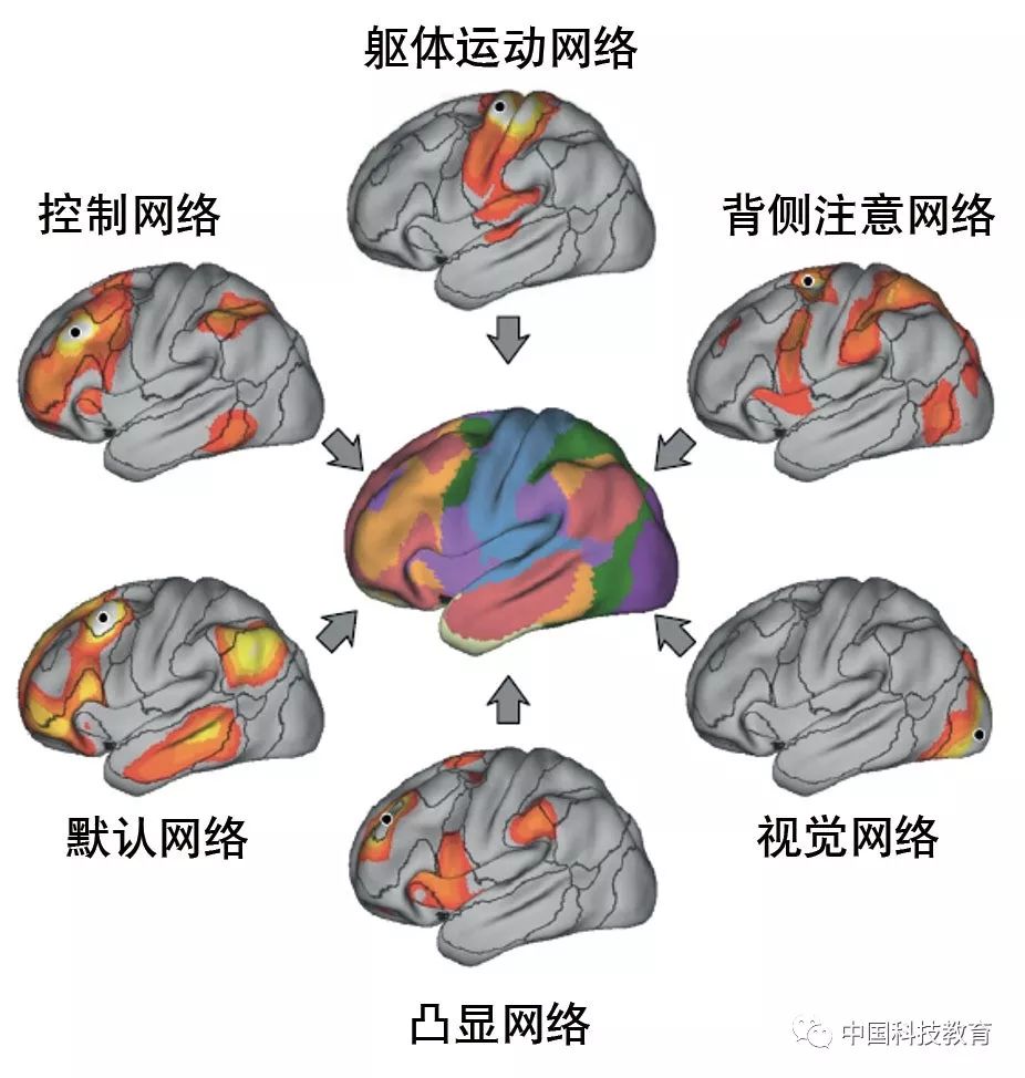 从脑网络的角度看,人脑中的组织和结构构成了6大不同的功能网络,如图1