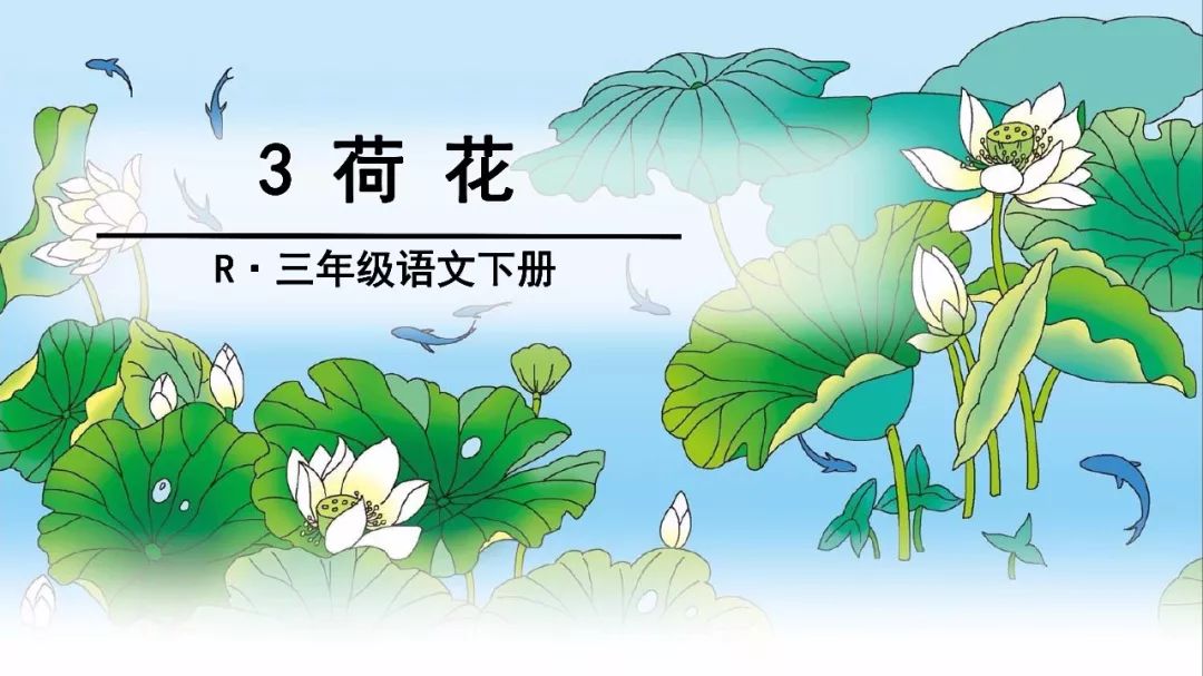 【微课堂】部编语文三年级下册课文3,荷花(教学视频)