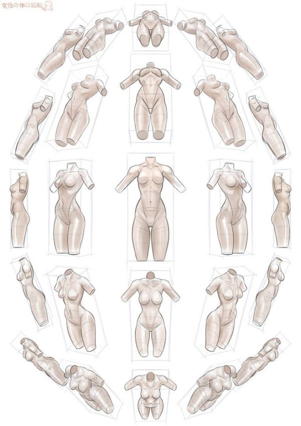 零基础学CG绘画—人体肌肉的绘制讲解