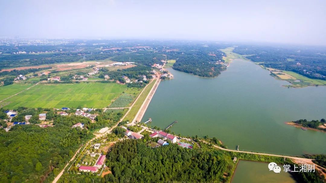 郭雨滴 摄省道s308线湘阴鹤龙湖段两侧,一边是养鱼蟹的池塘,一边是吃