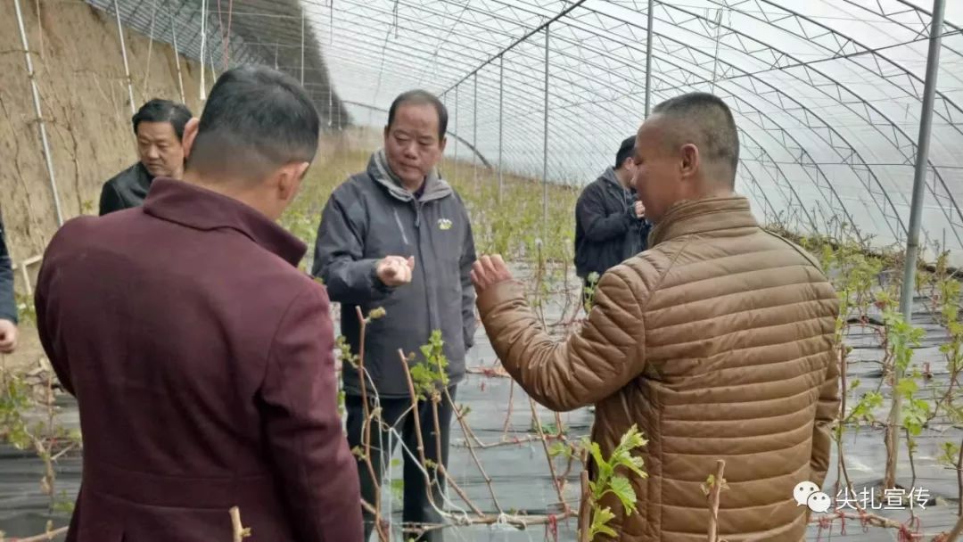 【尖扎要闻】黄南州委副书记马明生一行调研尖扎 春耕