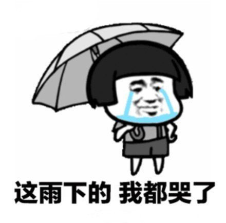 创意表情包:这雨下的 我都哭了