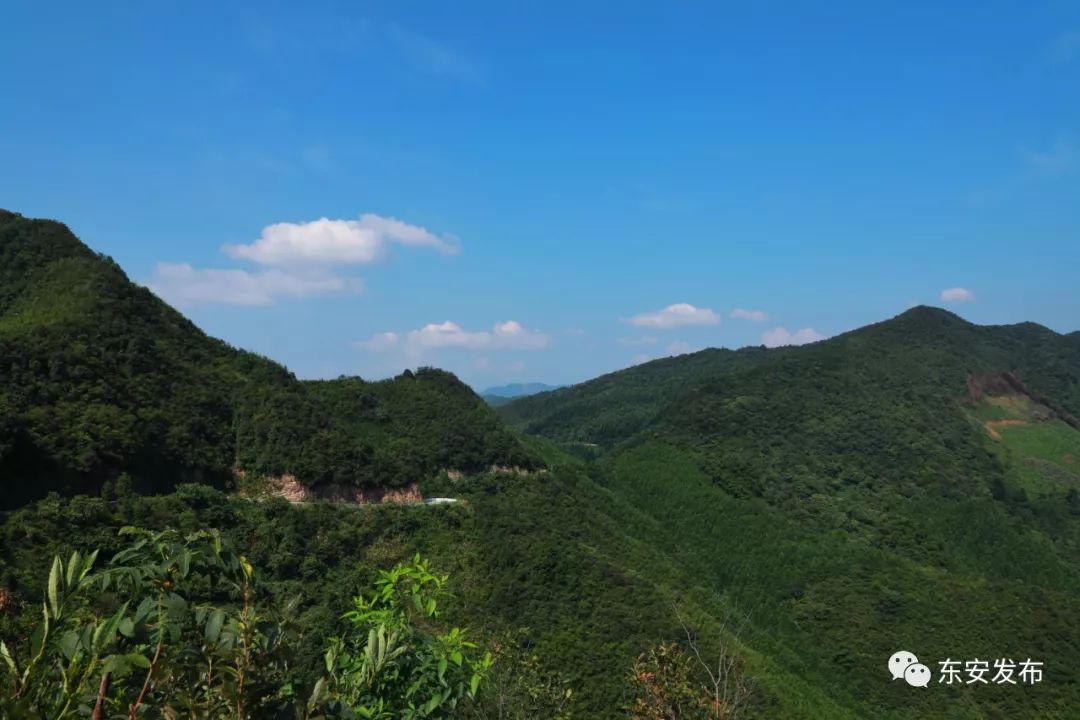 东安这个村获"2018年度省级秀美村庄示范村"称号_简家岭